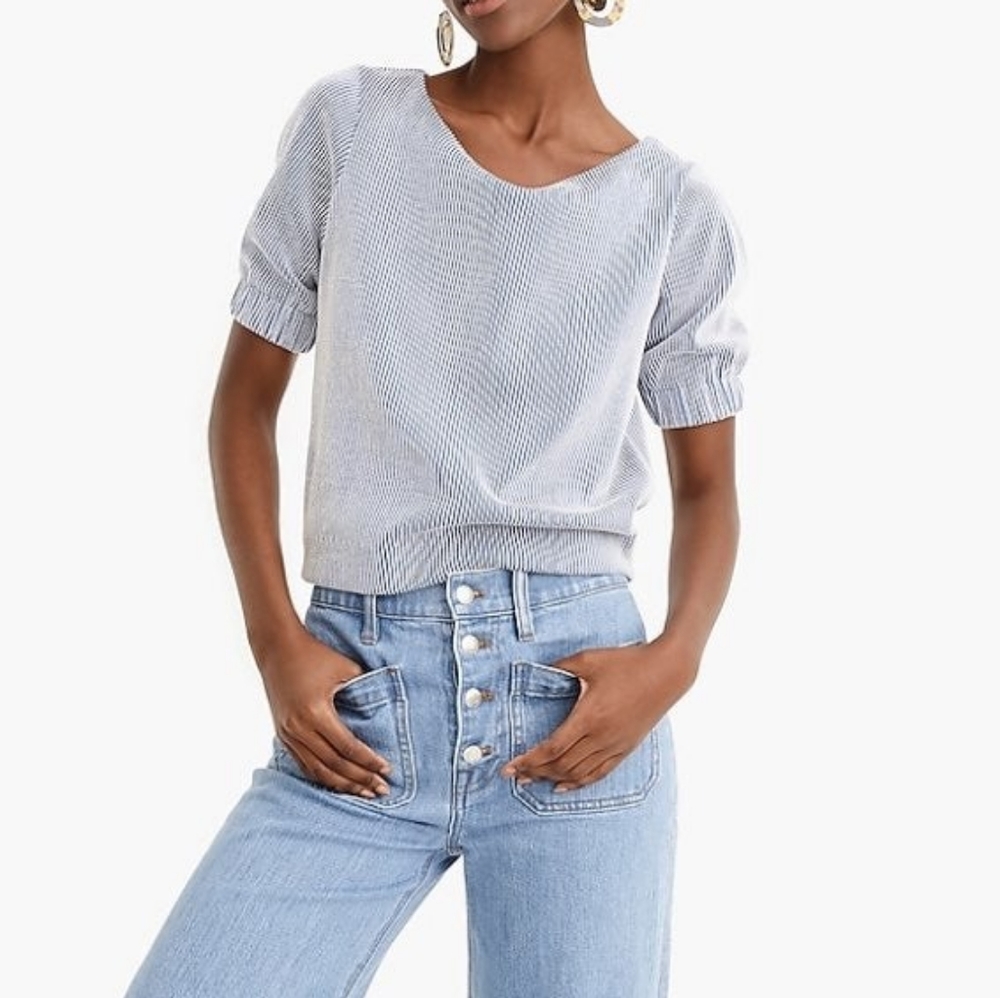 NWOT J Crew Blue and White Striped Crop Top